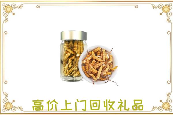 七台河周边回收虫草